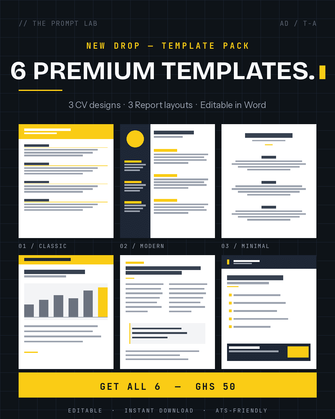 Professional Document Pack:6 Premium Templates (3 CV + 3 Report Templates)